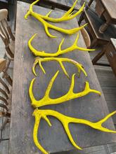 Antieke gele geweien Antiek stijl in Hout,