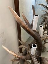 Antique style Antique lighting wood in antler