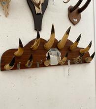 Antique style Antique mirror coat rack horns in Wood