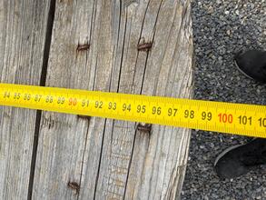 Vintage style Wooden decoration tabler in wood, Netherlands